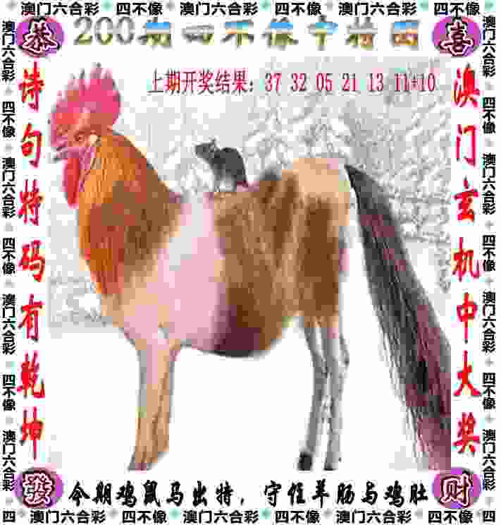 77777788888免费四肖软件下载大全-777888管家婆凤姐hd版安卓平板下载 v3   .11   .475   -2278安卓网
